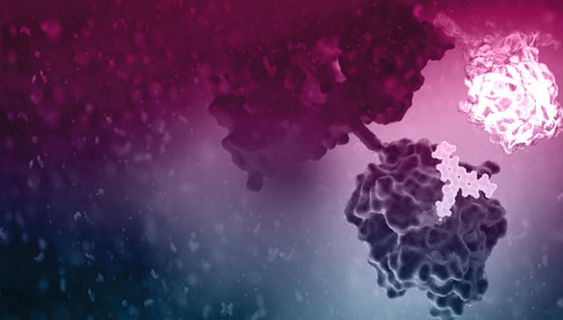 agonist-binding-nanobret