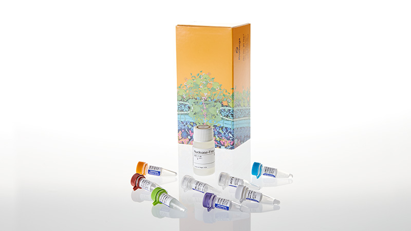 Access RT PCR Introductory System 20 reactions