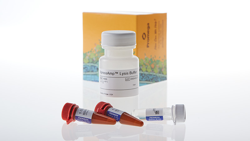 A8882_XpressAmp-Direct-Amplification-Reagents_3
