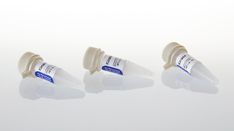 C1313_T4-PNK-Buffer-Pack_3