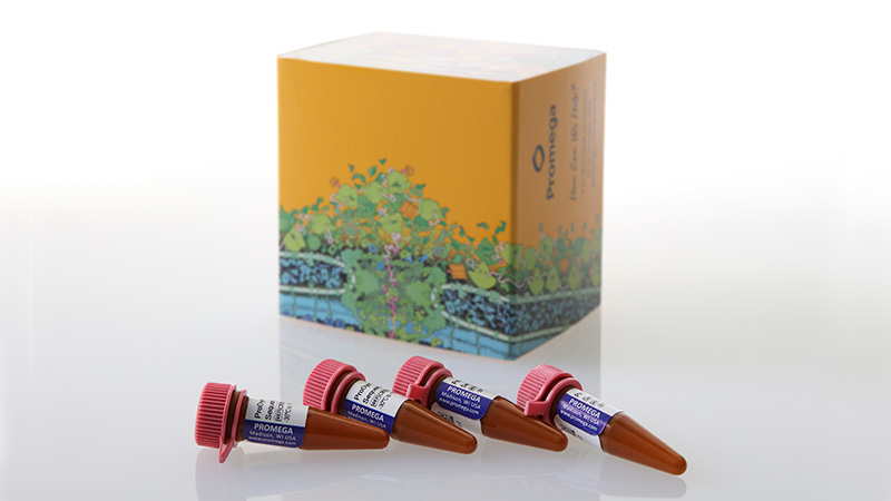 cr4604-prodye-sanger-sequencing-standard-3