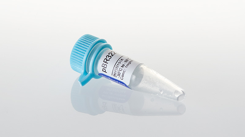 D1511_pBR322-DNA--10ug_3