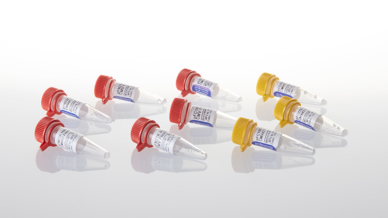 G3780_HaloTag--Flexi--Vectors-CMV-Deletion_3