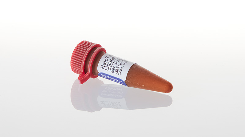 G8252_HaloTag--TMR-Ligand--15ul_3