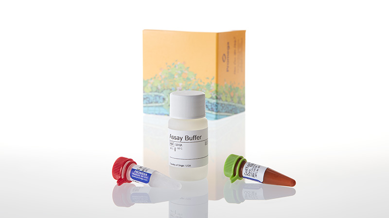 reenデトックス CellTox™ Green Cytotoxicity Assay | Cell Death Assay | Real Time