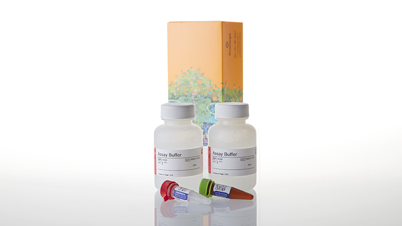 G8743_CellTox--Green-Cytotoxicity-Assay_3