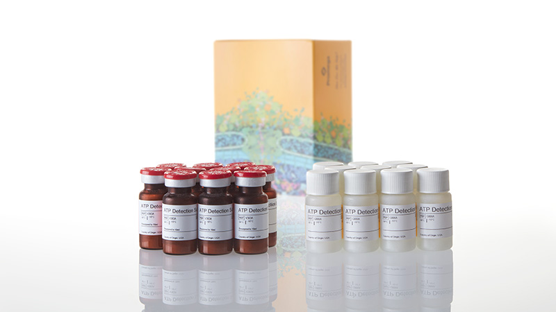 G8942_Viral-ToxGlo--Assay--10-x-10ml_3