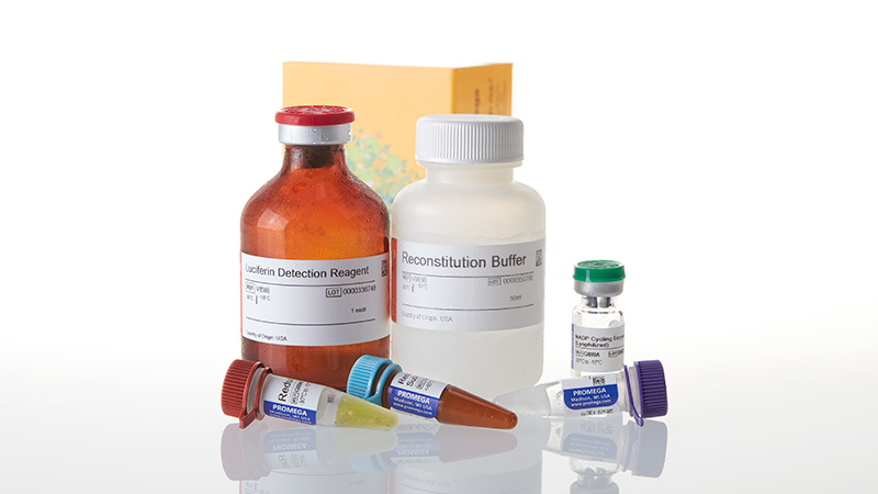 G9082__NADP-NADPH-Glo-Assay3