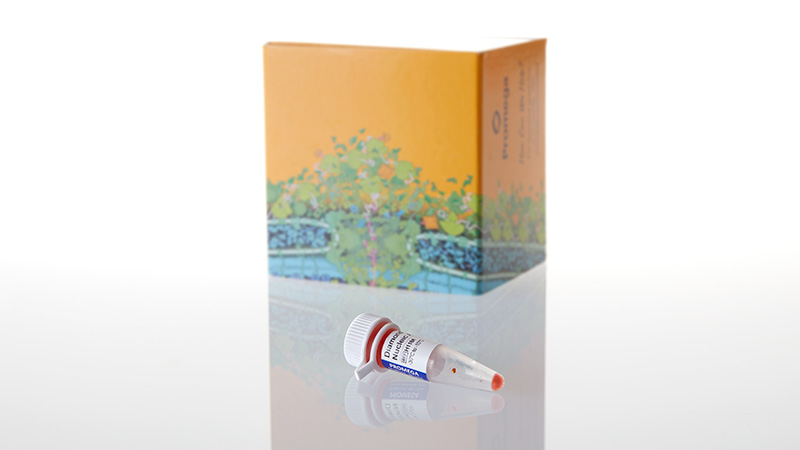 H1181_Diamond--Nucleic-Acid-Dye--500ul_3