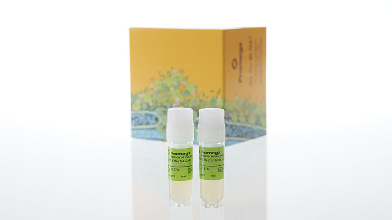 J2272_GITR-Effector-Cells--CPM-_3