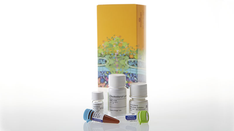 J3190_CholesterolCholesterol-Ester-Glo--Assay_3