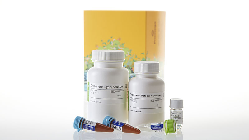 J3191_CholesterolCholesterol-Ester-Glo--Assay_3