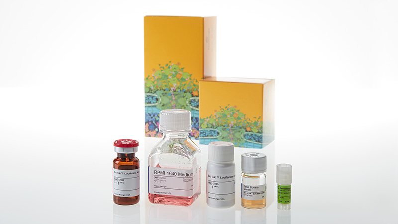 JA6701_CD28-Bioassay--Core-Kit_3