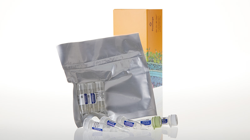 L1130_E- coli T7 S30 Extract System for Circular DNA_3