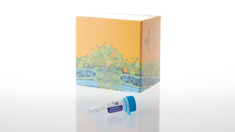 L5061_Transcend tRNA_3