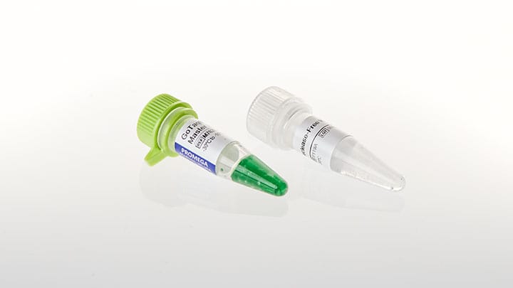 GoTaq G2 Green Master Mix 10 reactions