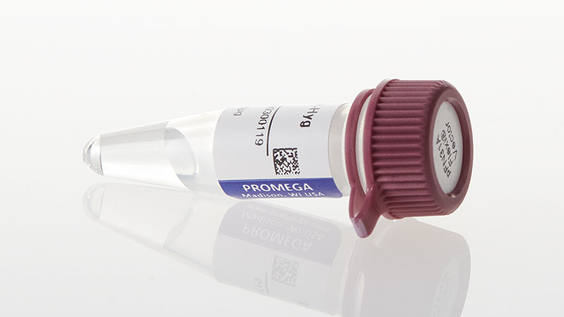 N1311_pFN31A-Nluc-CMV-Hygro-Flexi-Vector_3