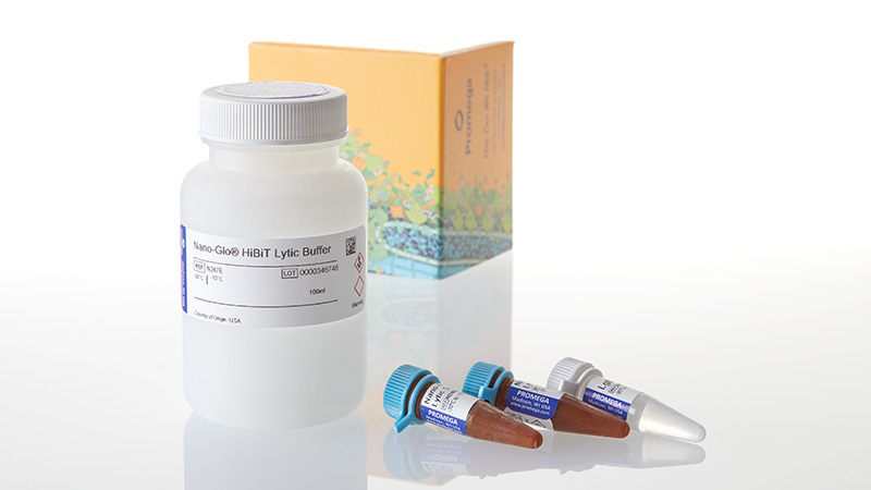N3040_Nano-Glo--HiBiT-Lytic-Detect-Sys--100ml_3