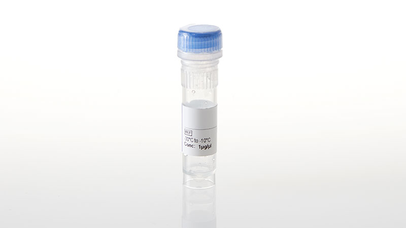 NV4481_TYRO3-NanoLuc-