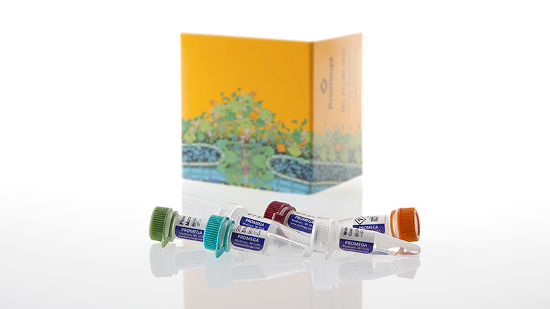 PS4600_PowerSeq-46GY_3