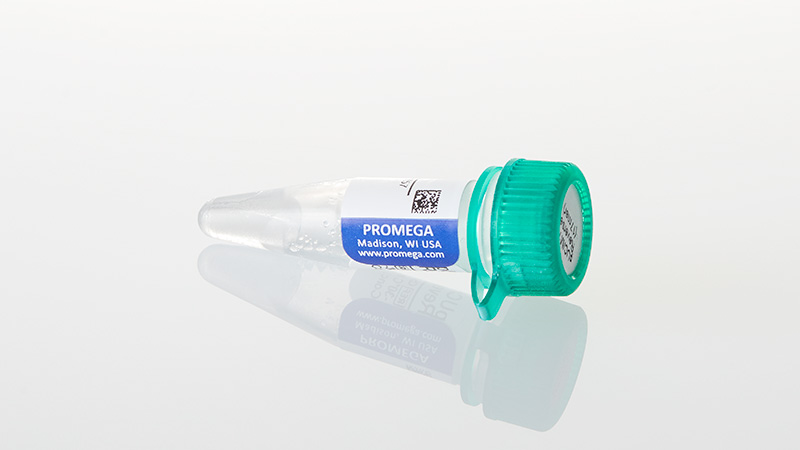 Q5401_pUC-3aM13-Primer--Reverse--17mer---2ug_3