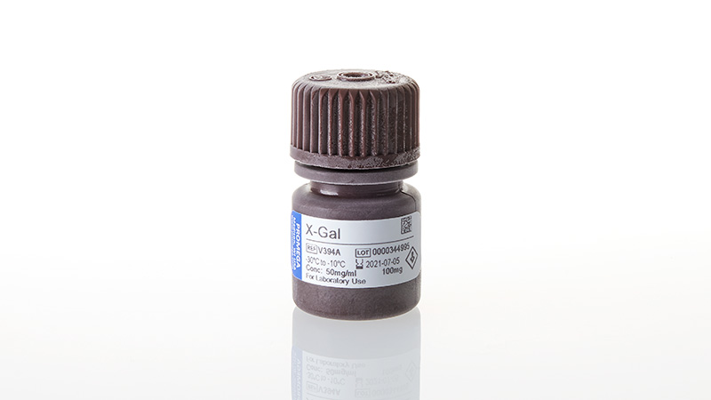V3941_X-Gal--100mg_3
