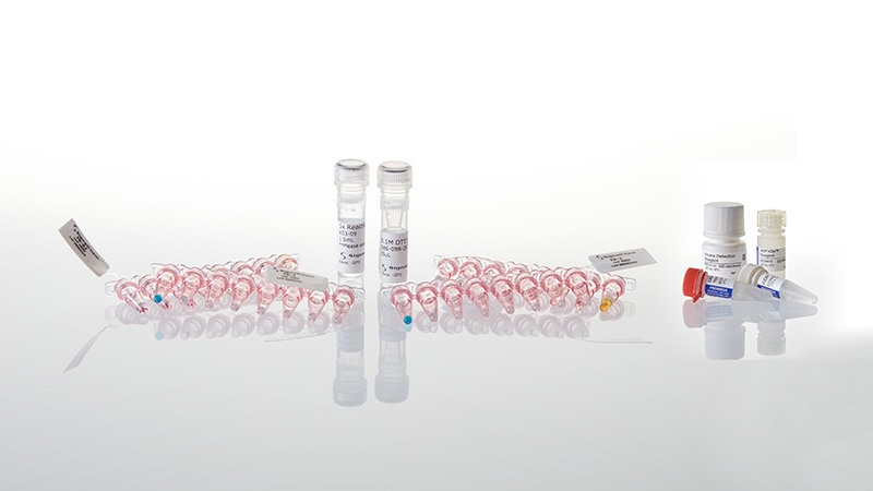 Kinase Selectivity Profiling Systems—TK1, TK2, TK3, TK4