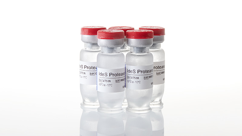 V7515_IdeS-Protease--25000U_3