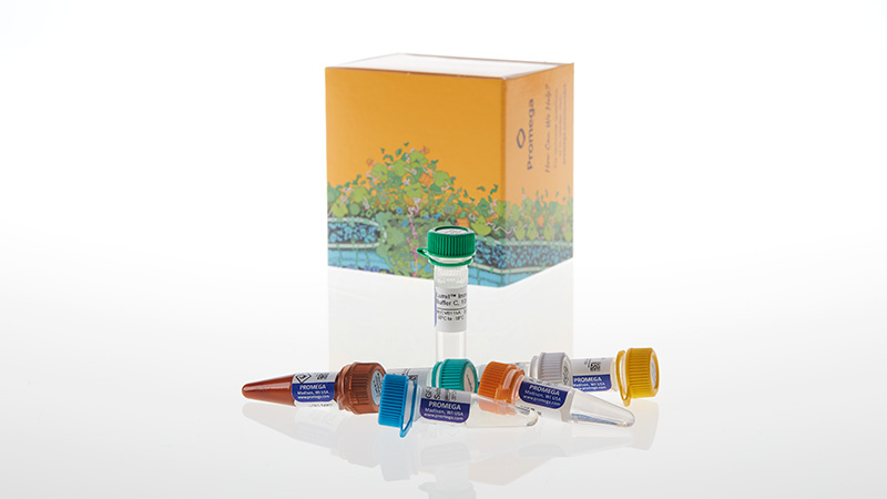 W1331_Lumit--Immunassay-Cellular-System---Set-2--100-assays_3