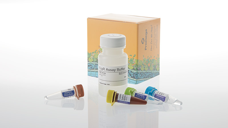 w7050-lumit-fcgriiia-v158-binding-immunoassay