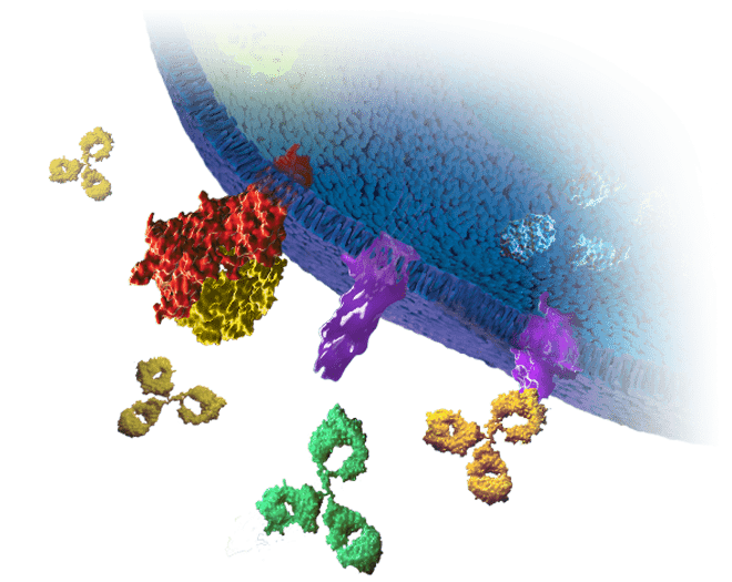 T-Cell-Activation-Bioassays-Overview-Image