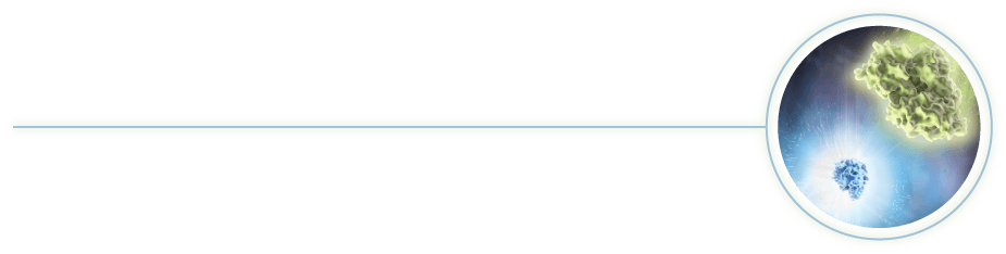 Dual-Luciferase Technology Glowing