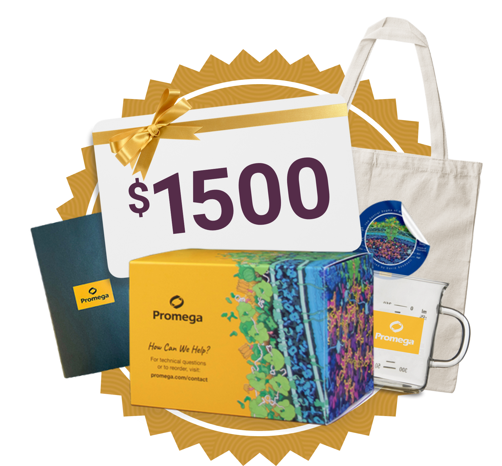 3rd place 2500 gift card and prizes