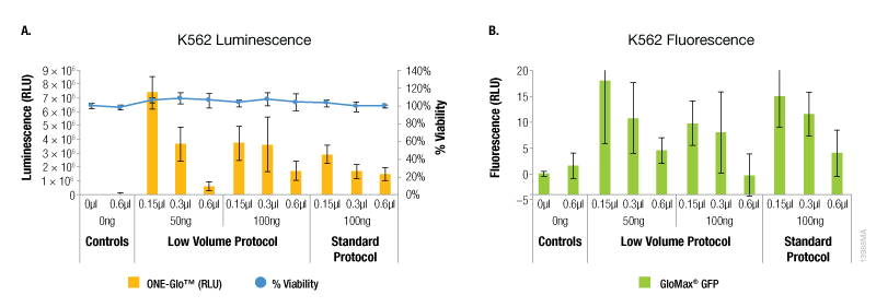Transfection efficiency for K562 cell line.