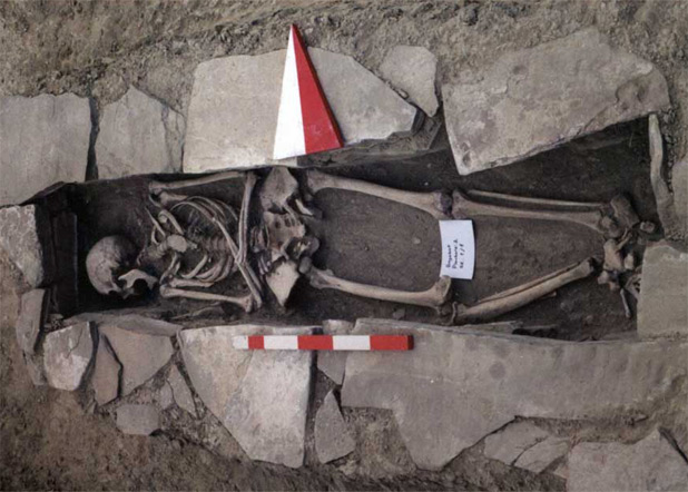 29814220-MediumImage_Skeleton