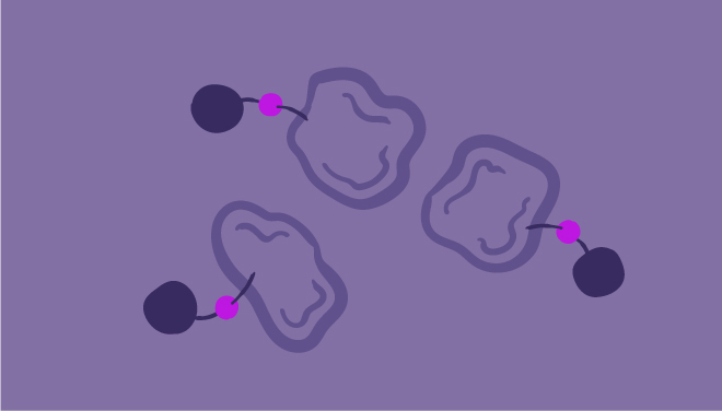 Polyhistidine Tags