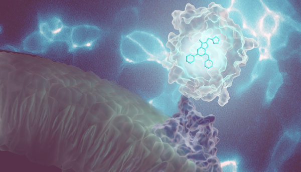 50845545-nanoluc-addres-tiles-320x290-3